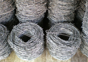KƬ̾W(wng)-03